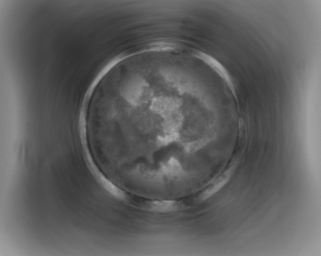 X0000114560859200910191430
