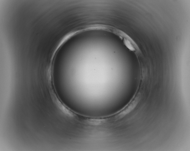 X0000114560860200910191430