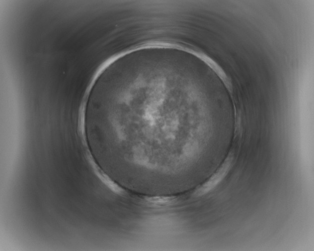 X0000114560862200910191430