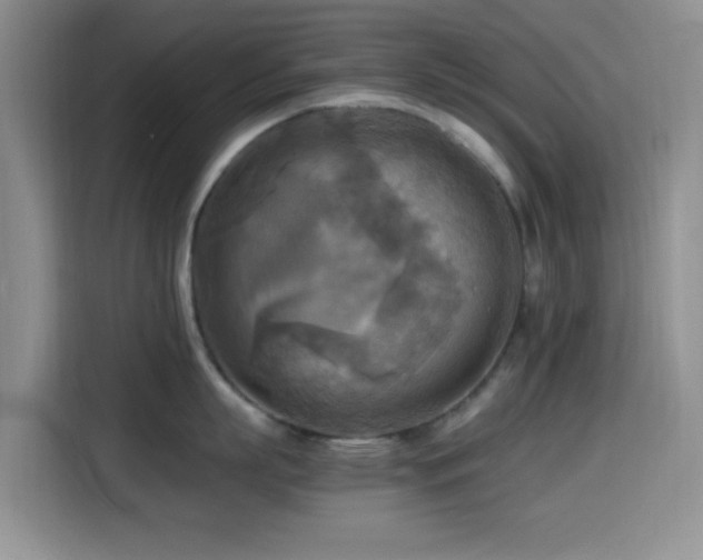 X0000114560863200910191430