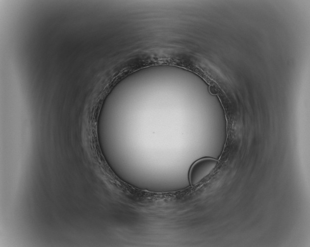X0000114560865200910191429