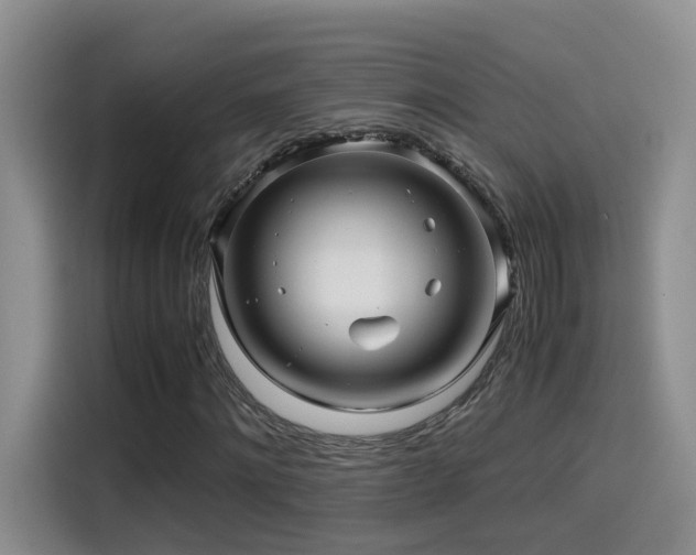 X0000114560868200910191429