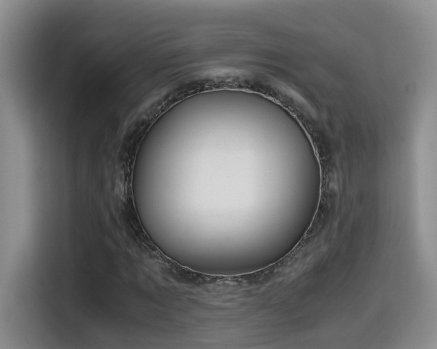 X0000114560869200910191429