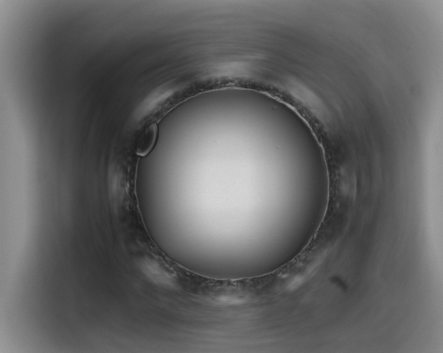 X0000114560872200910191429