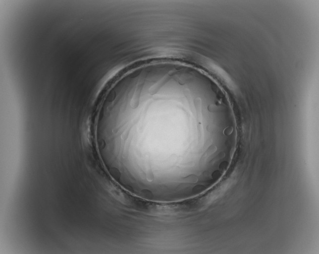 X0000114560875200910191429