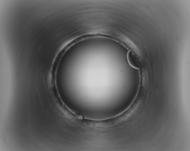 X0000114560876200910191429