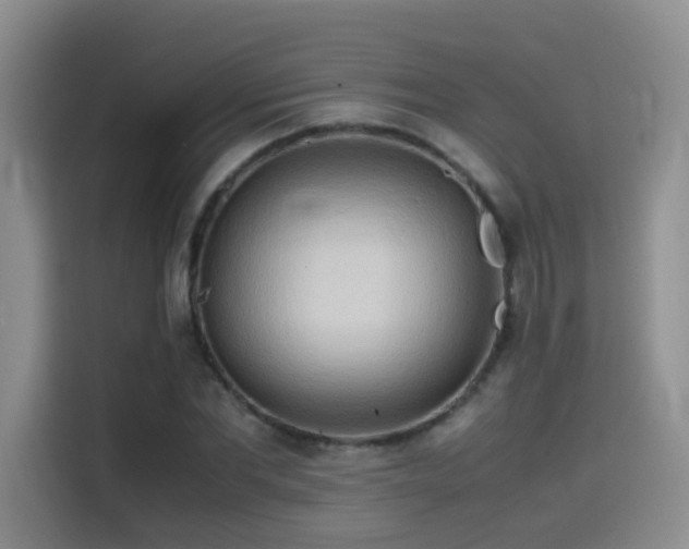 X0000114560877200910191429