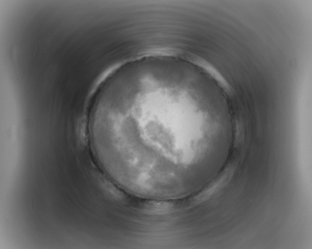 X0000114560878200910191429