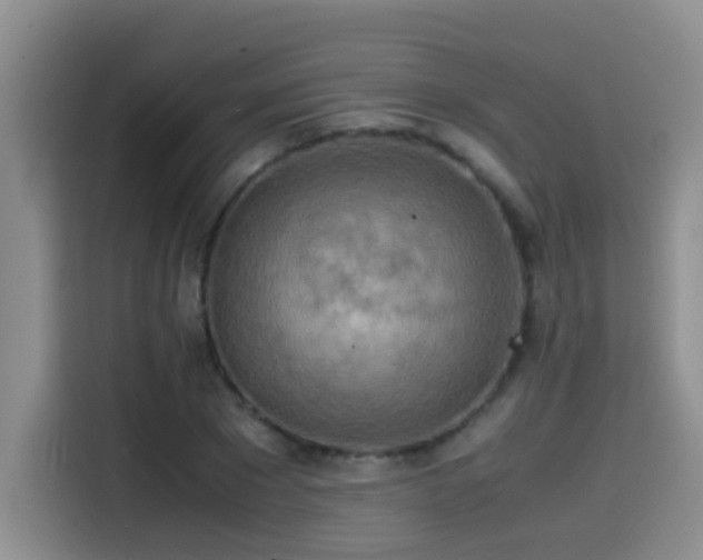 X0000114560881200910191429