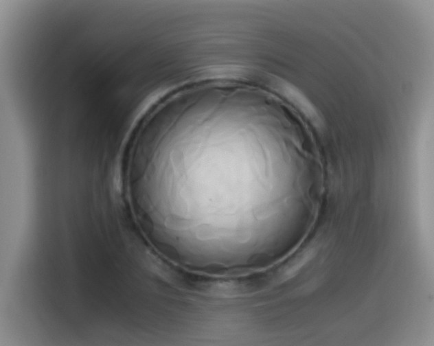 X0000114560883200910191429