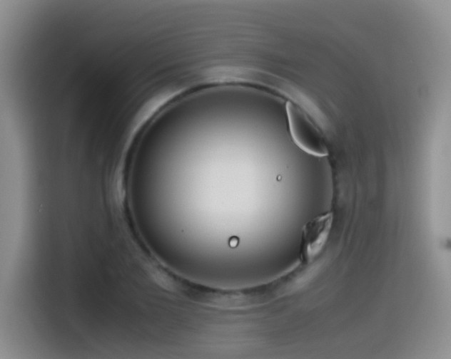 X0000114560885200910191429