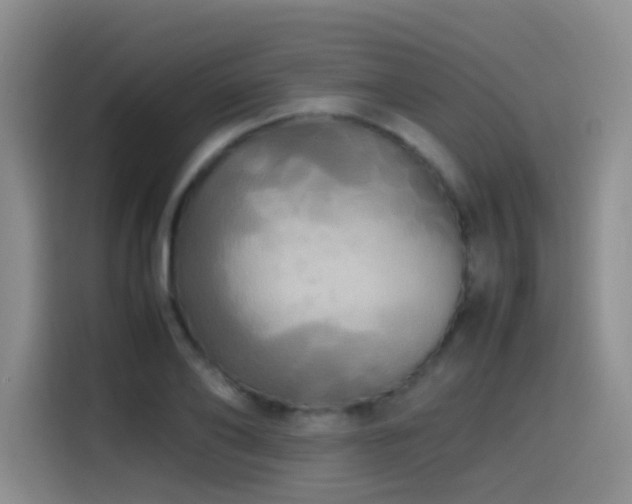 X0000114560886200910191429