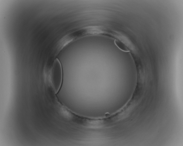 X0000114560889200910191429