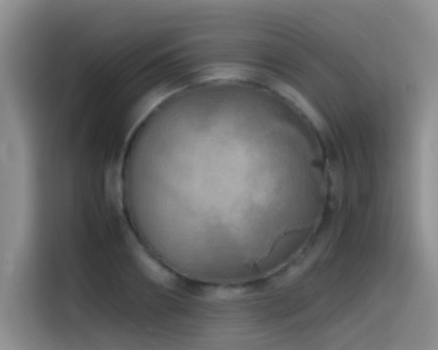X0000114560890200910191429