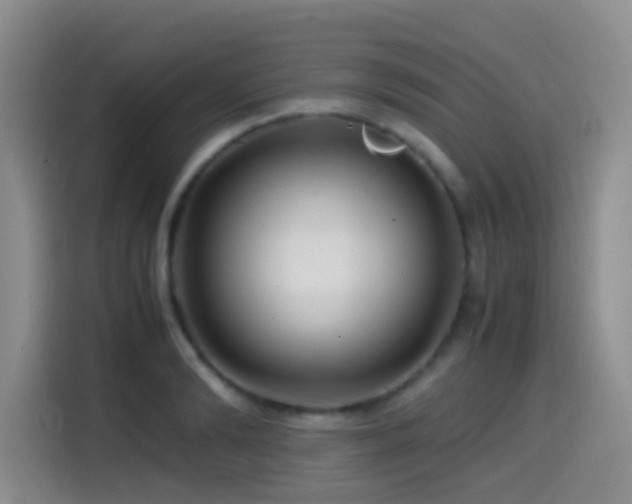 X0000114560894200910191429