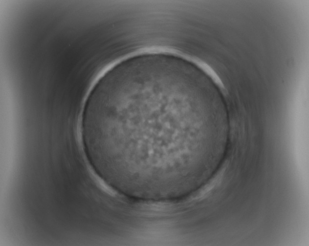 X0000114560895200910191429