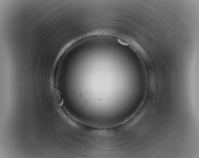 X0000114560896200910191429