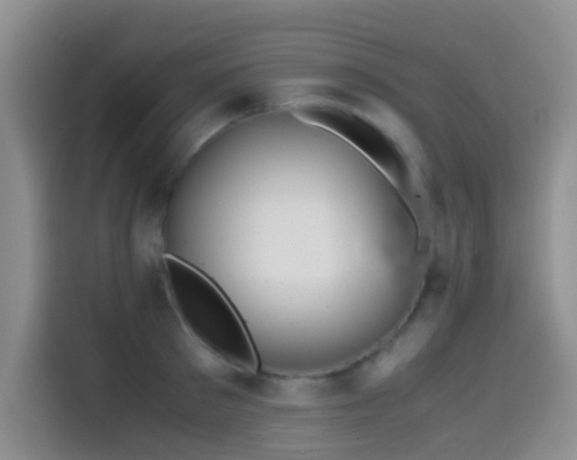 X0000114560897200910191429