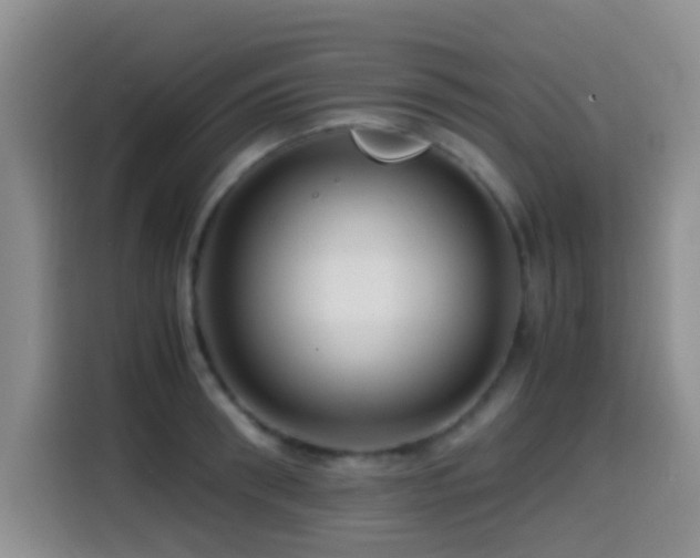 X0000114560898200910191429