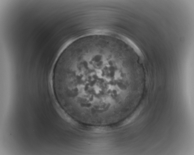 X0000114560899200910191429