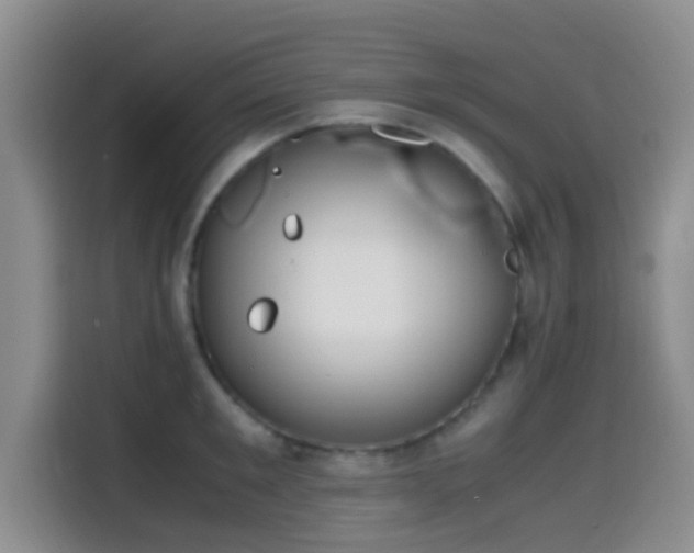 X0000114560901200910191429