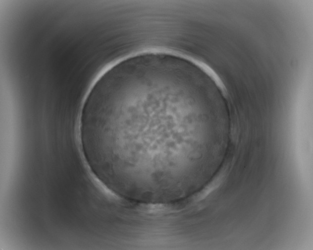 X0000114560903200910191429
