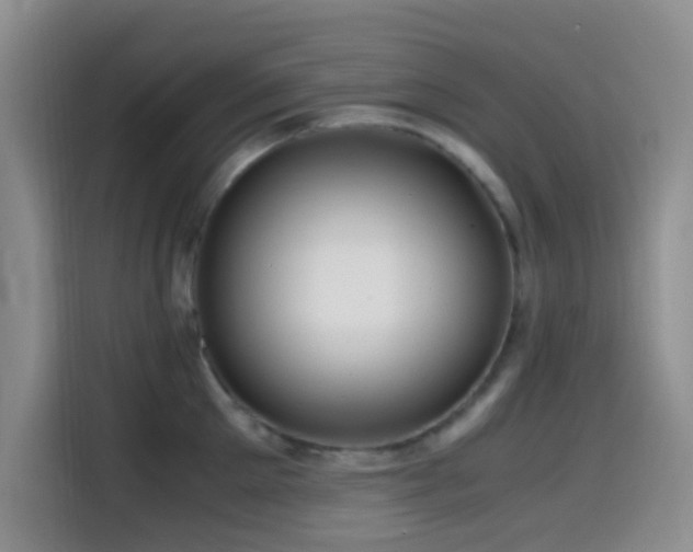X0000114560905200910191429