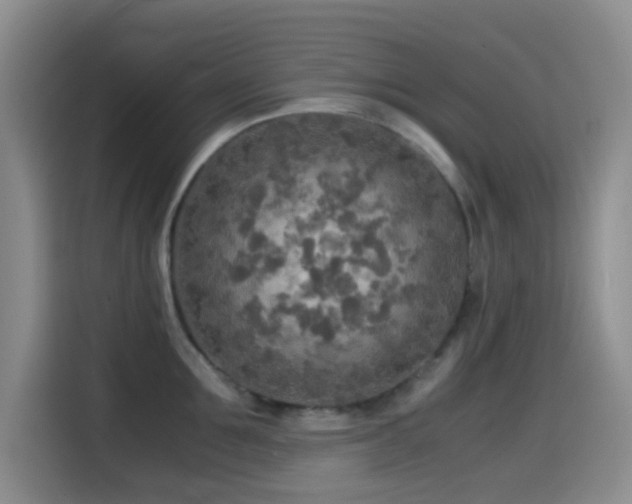 X0000114560907200910191429