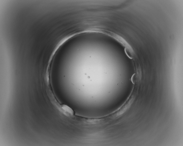 X0000114560908200910191429