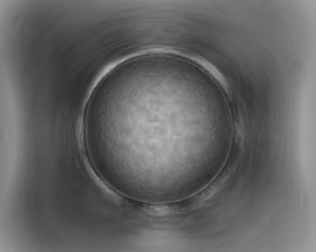 X0000114560911200910191429