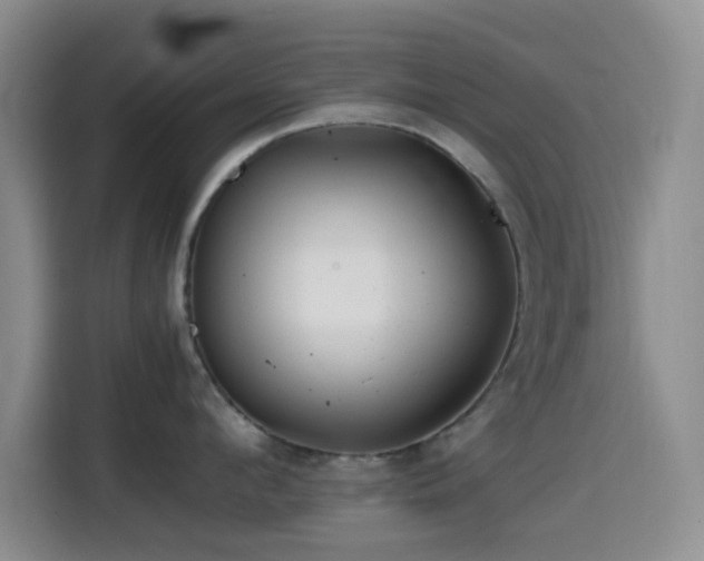 X0000114560912200910191429