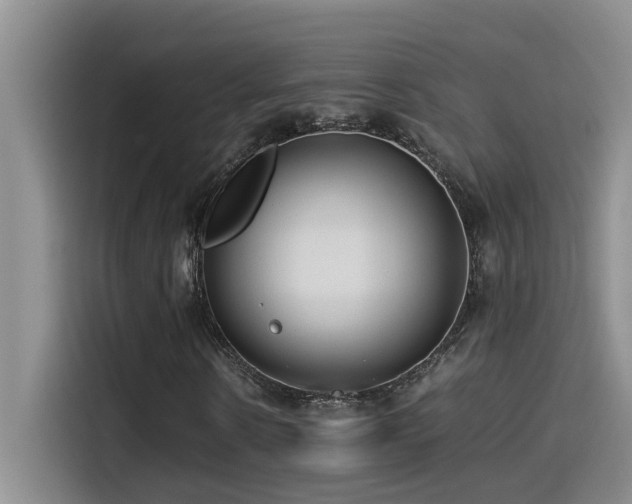 X0000114560914200910191428