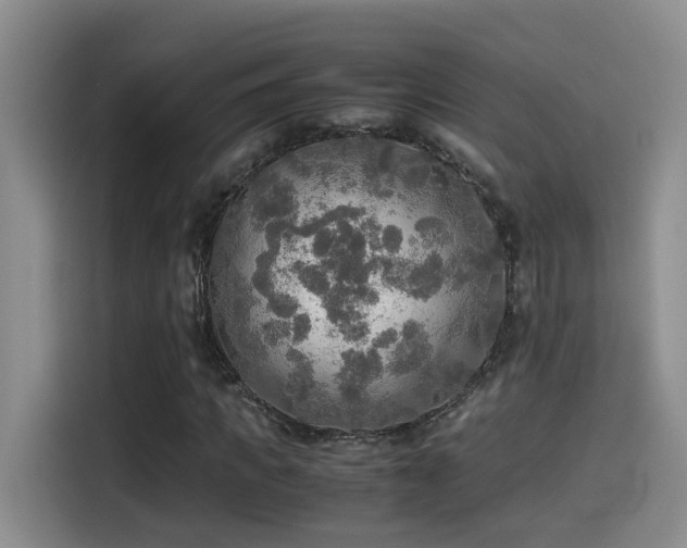 X0000114560917200910191428