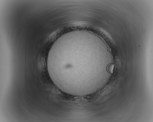 X0000114560918200910191428