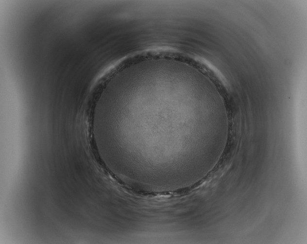 X0000114560919200910191428