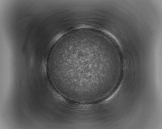 X0000114560921200910191428
