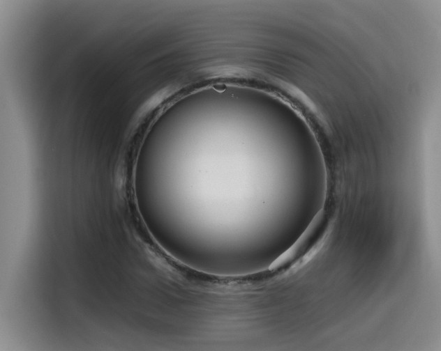 X0000114560922200910191428