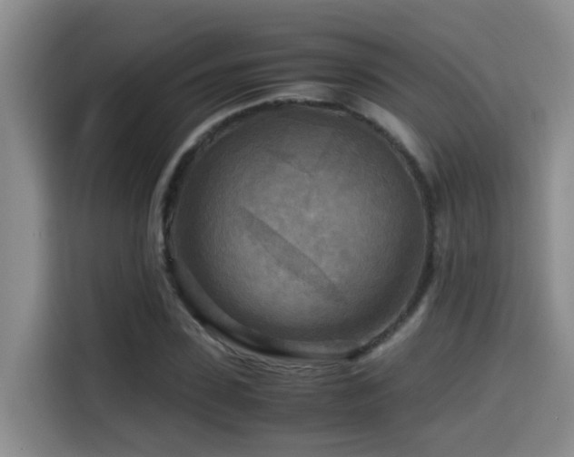 X0000114560923200910191428