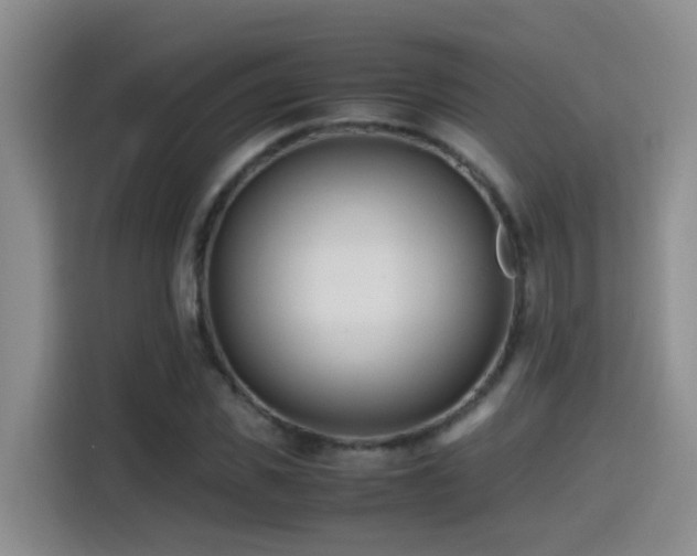 X0000114560925200910191428