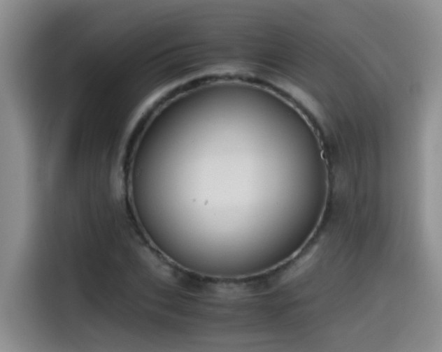 X0000114560927200910191428