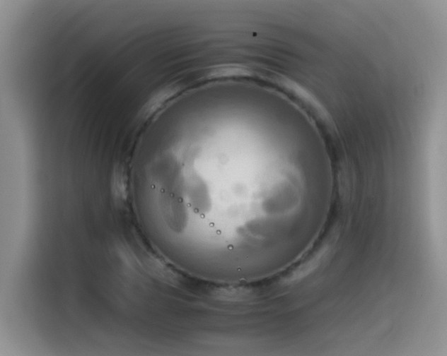 X0000114560929200910191428