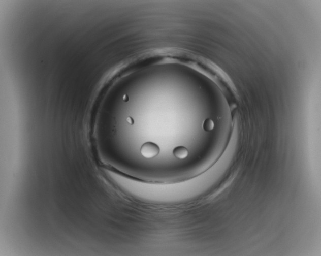 X0000114560930200910191428