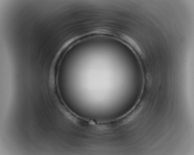 X0000114560931200910191428