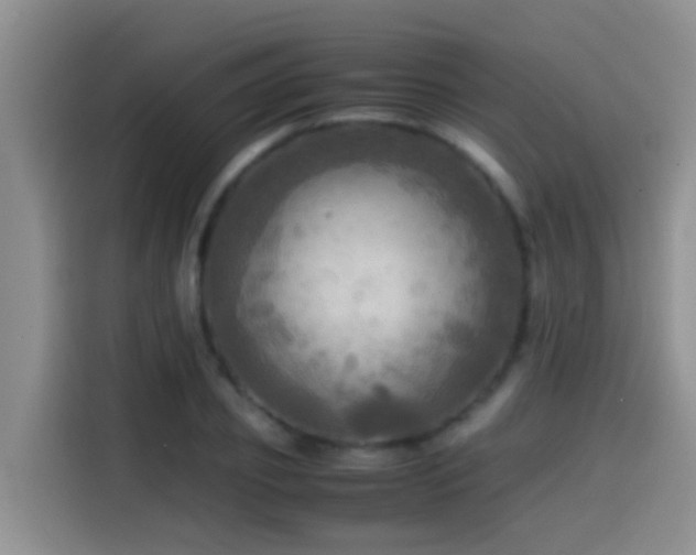 X0000114560933200910191428