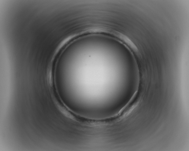 X0000114560934200910191428