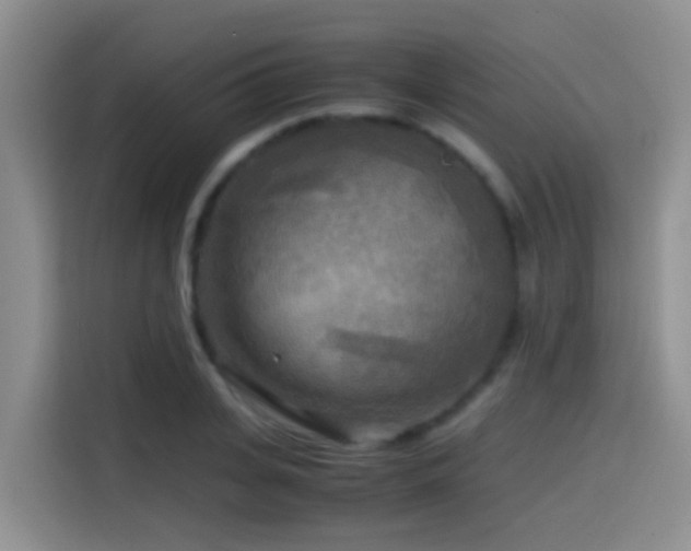 X0000114560935200910191428