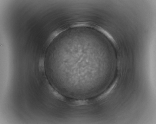 X0000114560937200910191428
