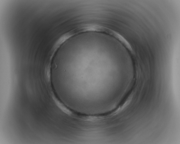 X0000114560938200910191428