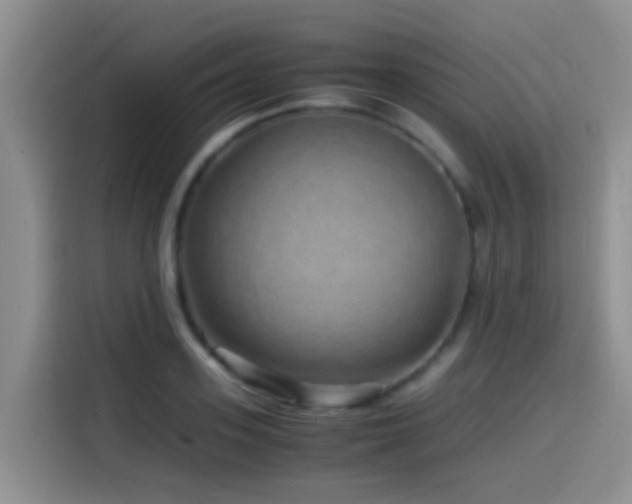 X0000114560939200910191428