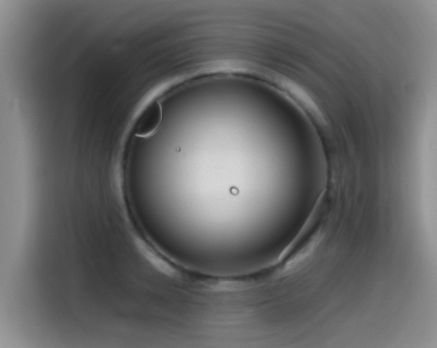 X0000114560942200910191428